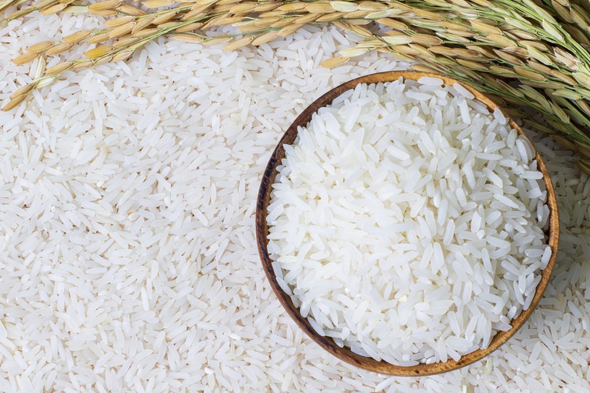 Demi RI Surplus Beras, Pupuk Indonesia Siap Gelontorkan Rp116 T