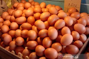 (AS) berencana mengimpor telur
