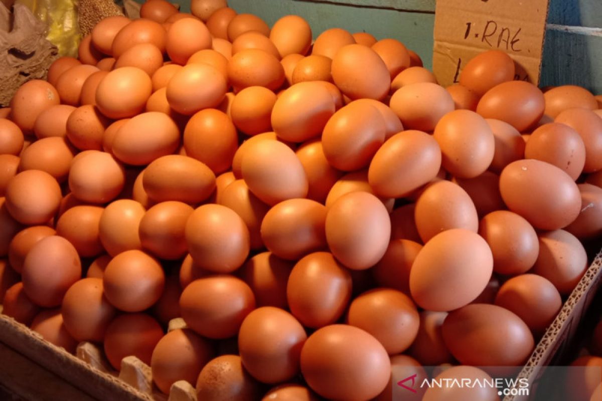 (AS) berencana mengimpor telur