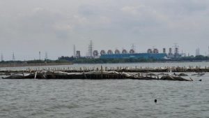 Megathrust 'Meledak', Wilayah Jakarta Ini Digulung Tsunami 1,8 Meter