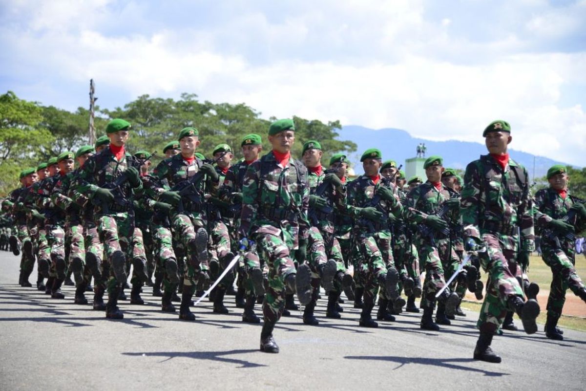 Tentara Nasional Indonesia